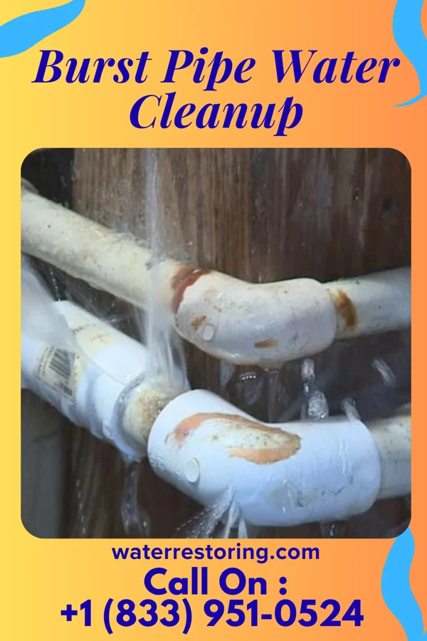 Burst Pipe Water Cleanup in Cliffside Park, NJ