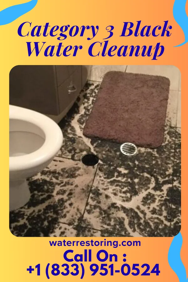 Category 3 Black Water Cleanup in Cliffside Park, NJ