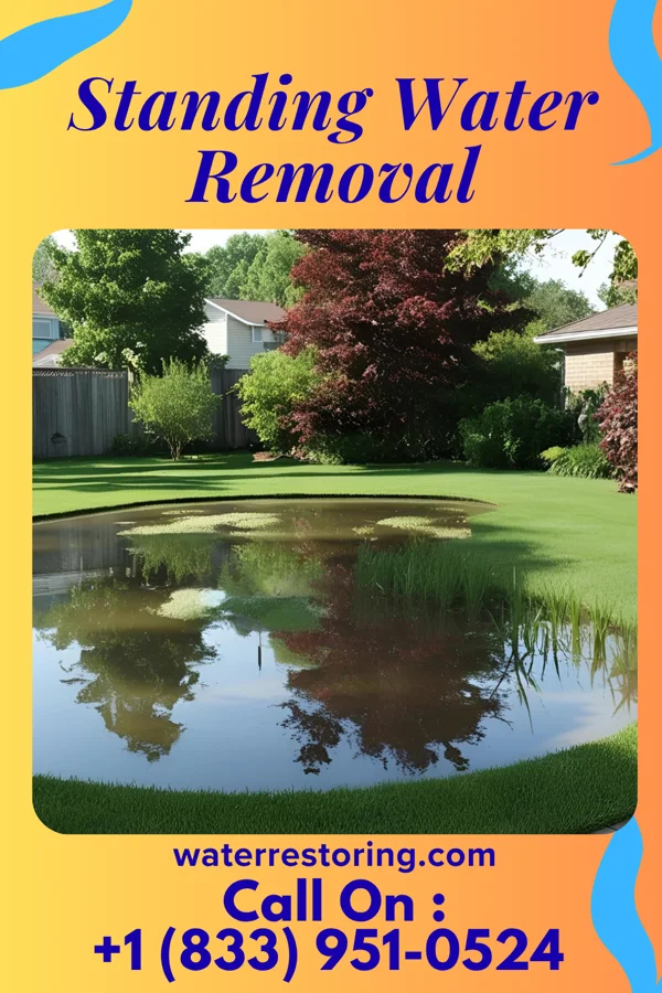 Standing Water Removal in Cliffside Park, NJ